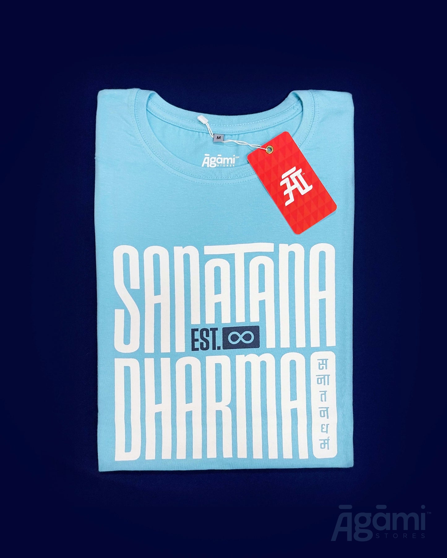 Sanātana Dharma Tshirt - Aqua | Regular Fit